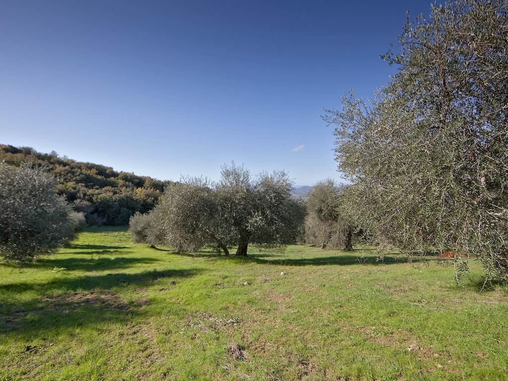 Tenuta La Silva Seggiano Exterior foto